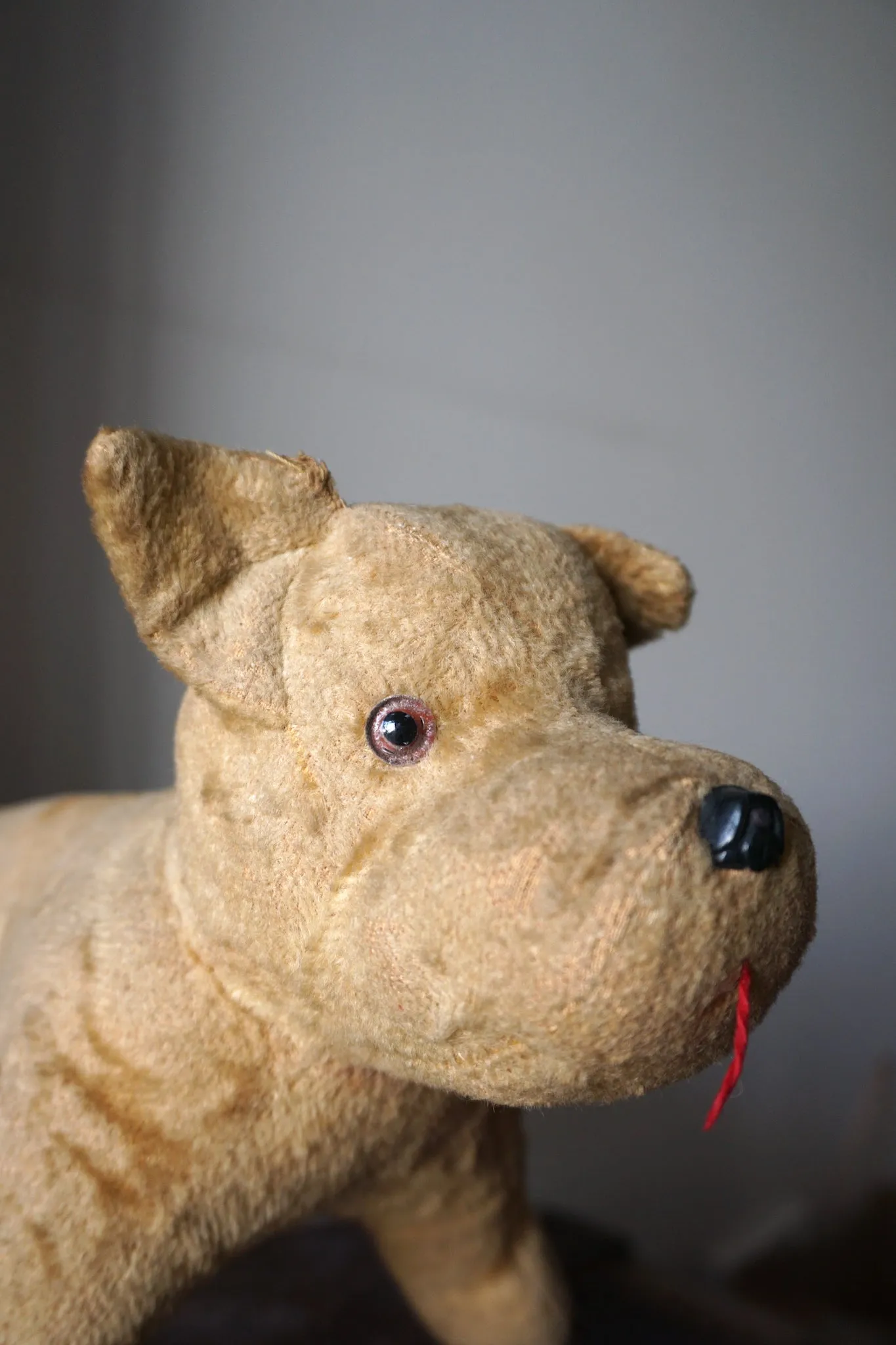 Antique French Time-Worn Dog